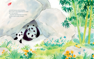 UNE-PLUME-PETIT-PANDA_INTweb
